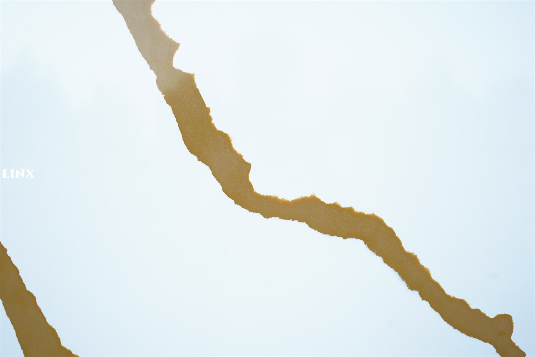 LX1276 CALACATTA GOLD QUARTZ STONE CLOSE UP 3 LINX SURFACES