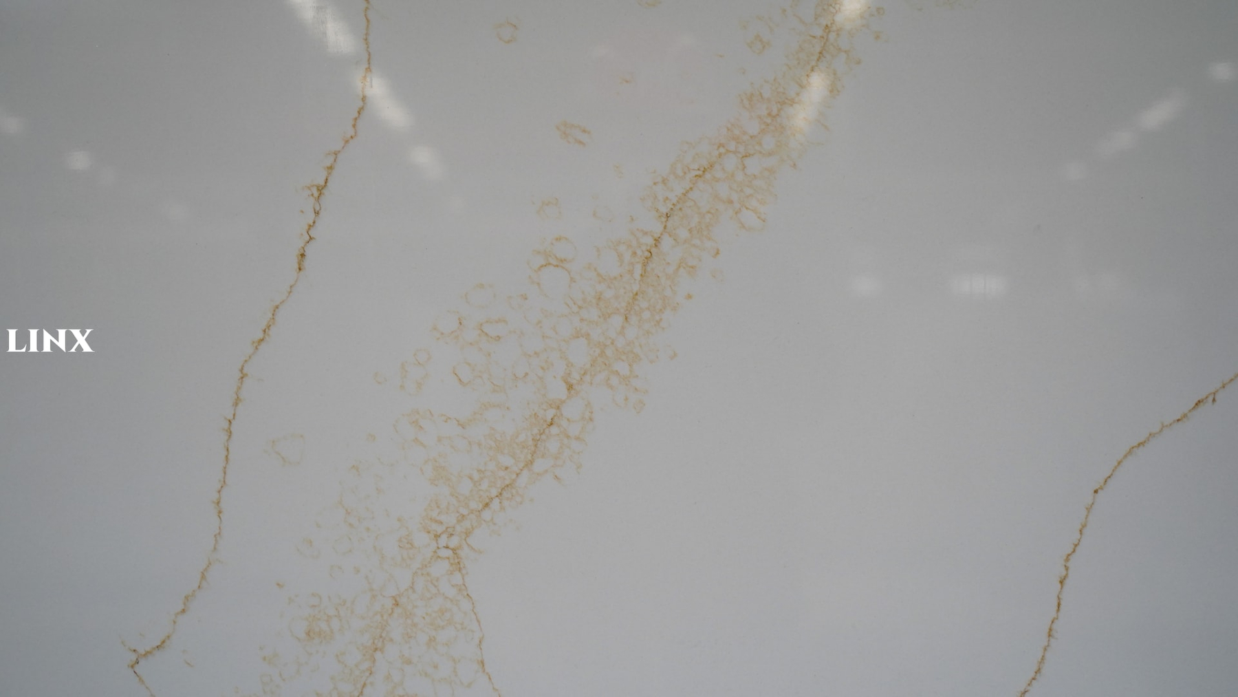 LX6117 CALACATTA GOLD QUARTZ STONE CLOSE UP 2 LINX SURFACES