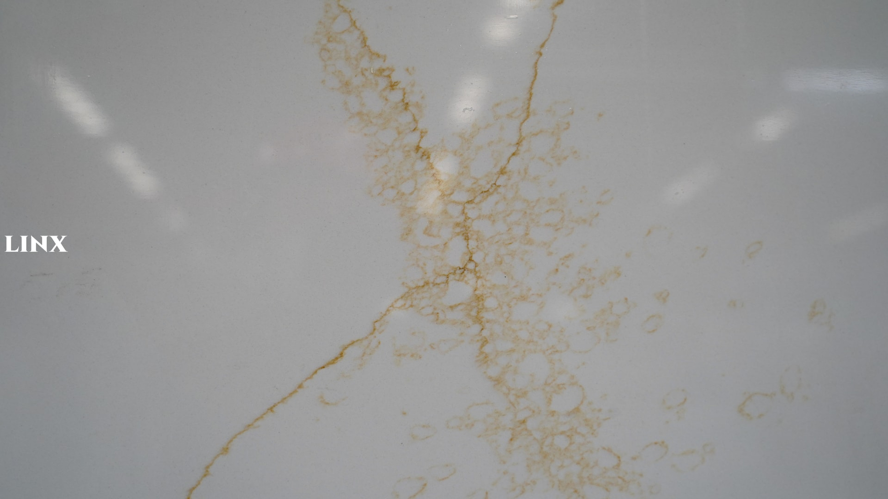 LX6117 CALACATTA GOLD QUARTZ STONE CLOSE UP 3 LINX SURFACES