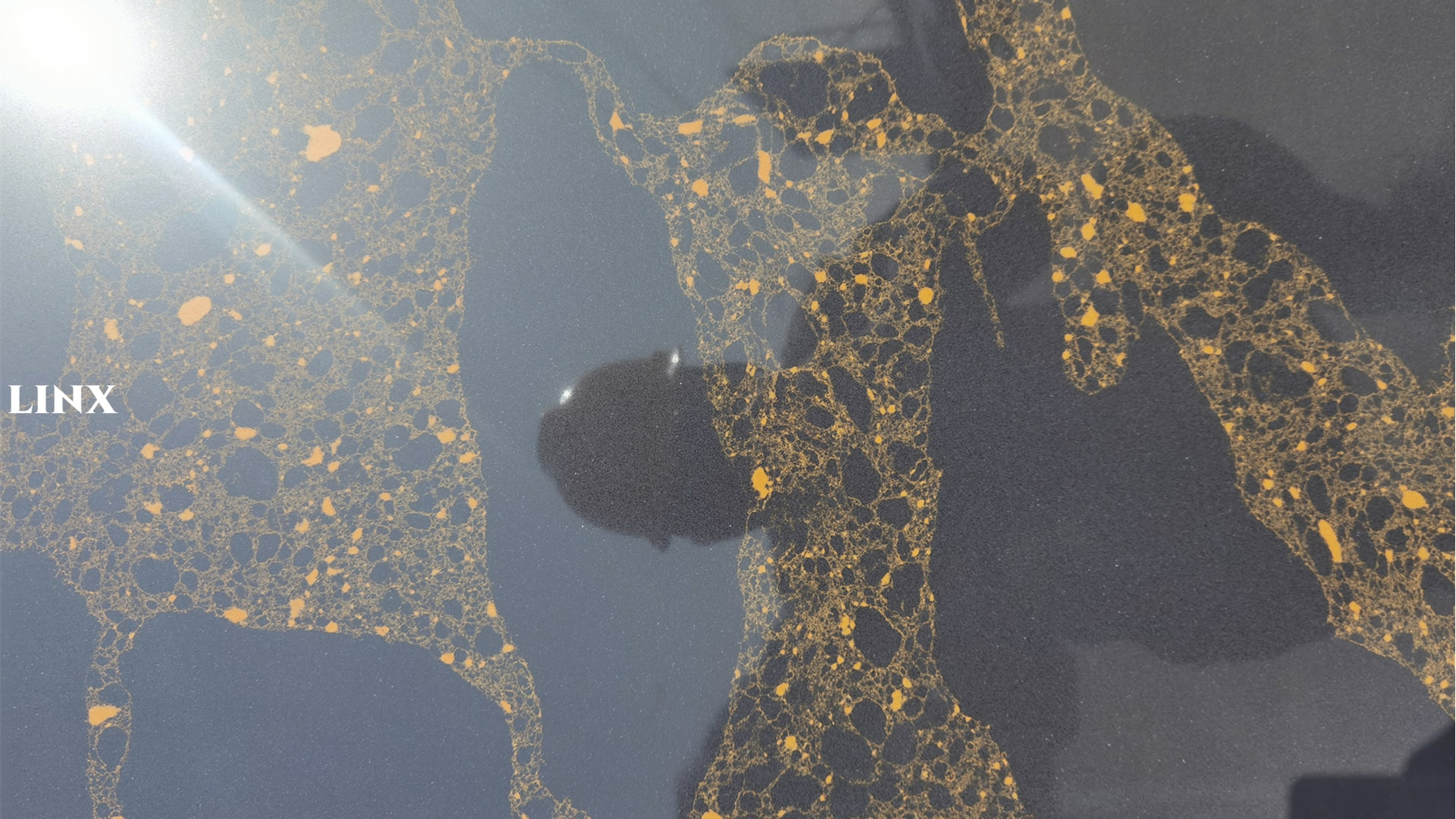 LX6873 CALACATTA BLACK QUARTZ STONE CLOSE UP 2 LINX SURFACES