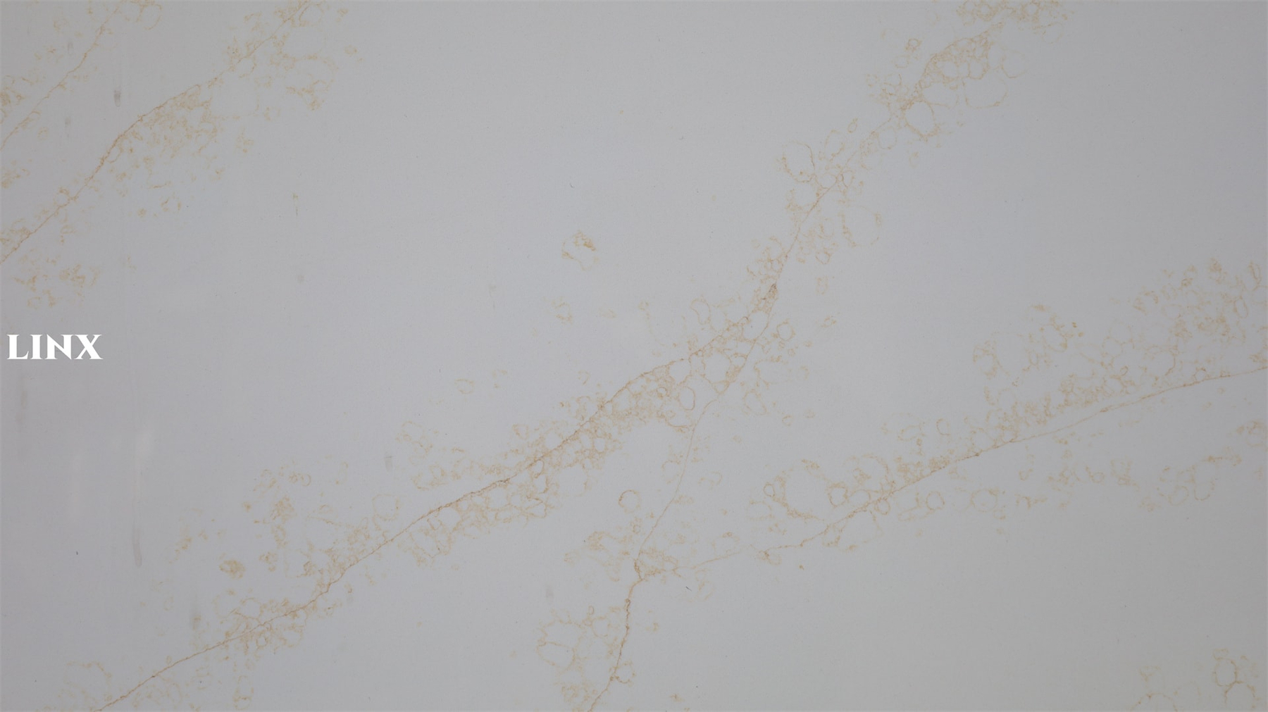 LX7136 CALACATTA GOLD QUARTZ STONE CLOSE UP 2 LINX SURFACES
