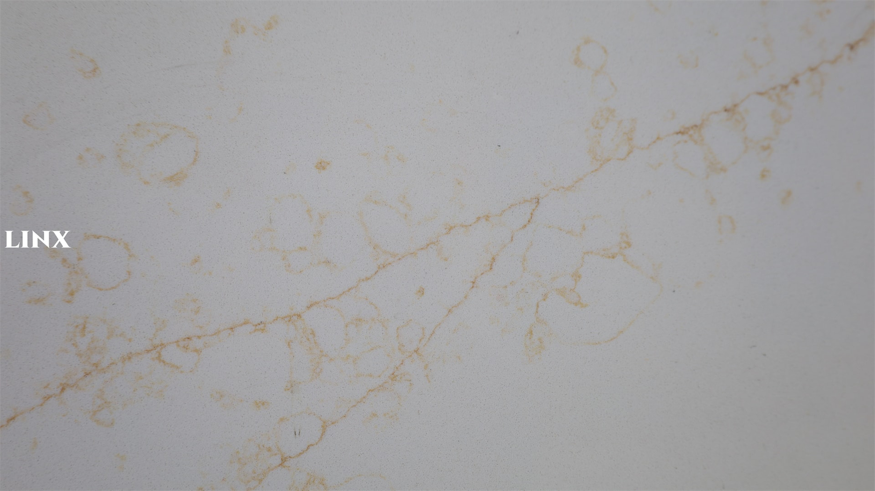 LX7136 CALACATTA GOLD QUARTZ STONE CLOSE UP 3 LINX SURFACES
