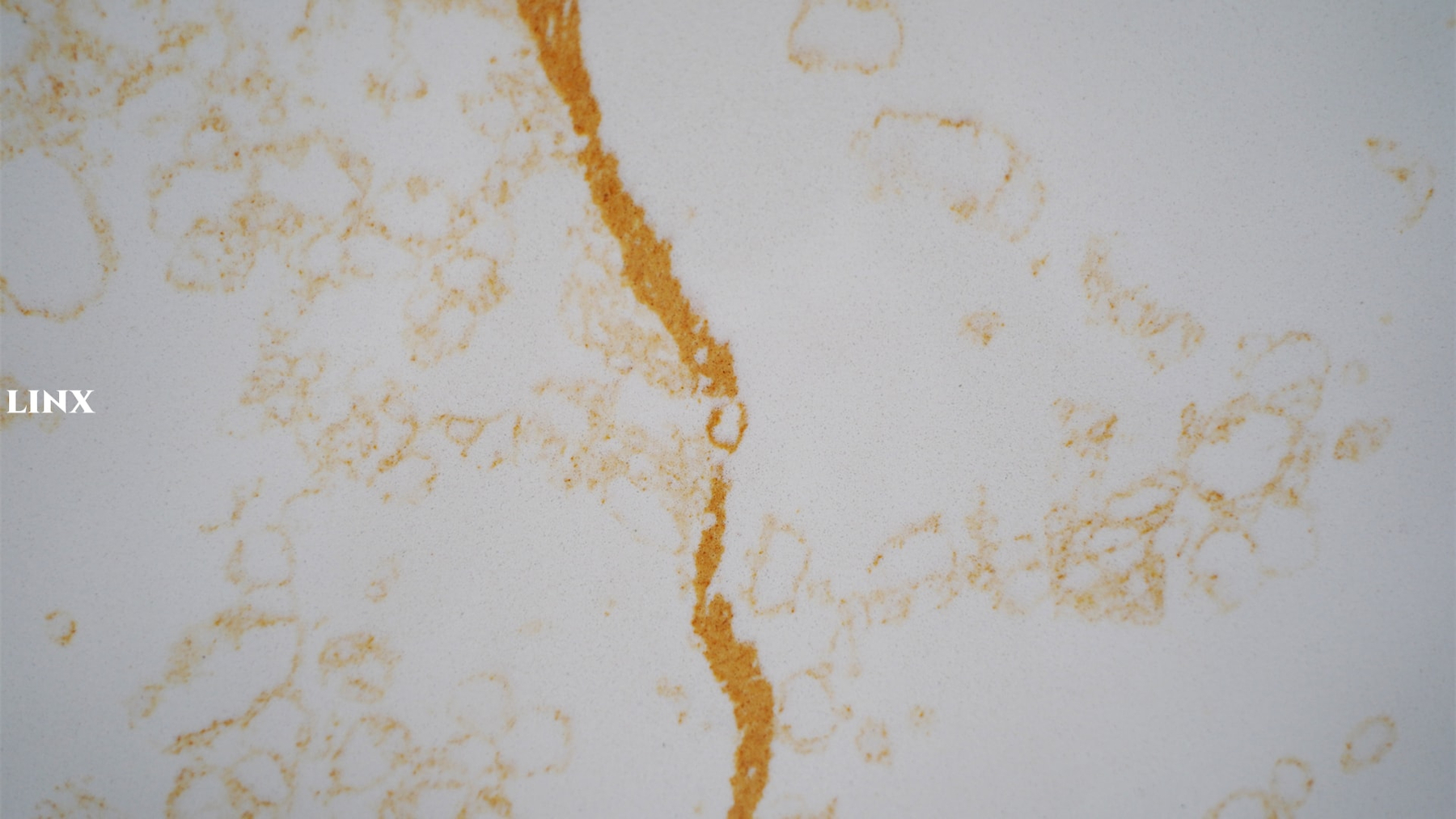 LX8109 CALACATTA GOLD QUARTZ STONE CLOSE UP 2 LINX SURFACES