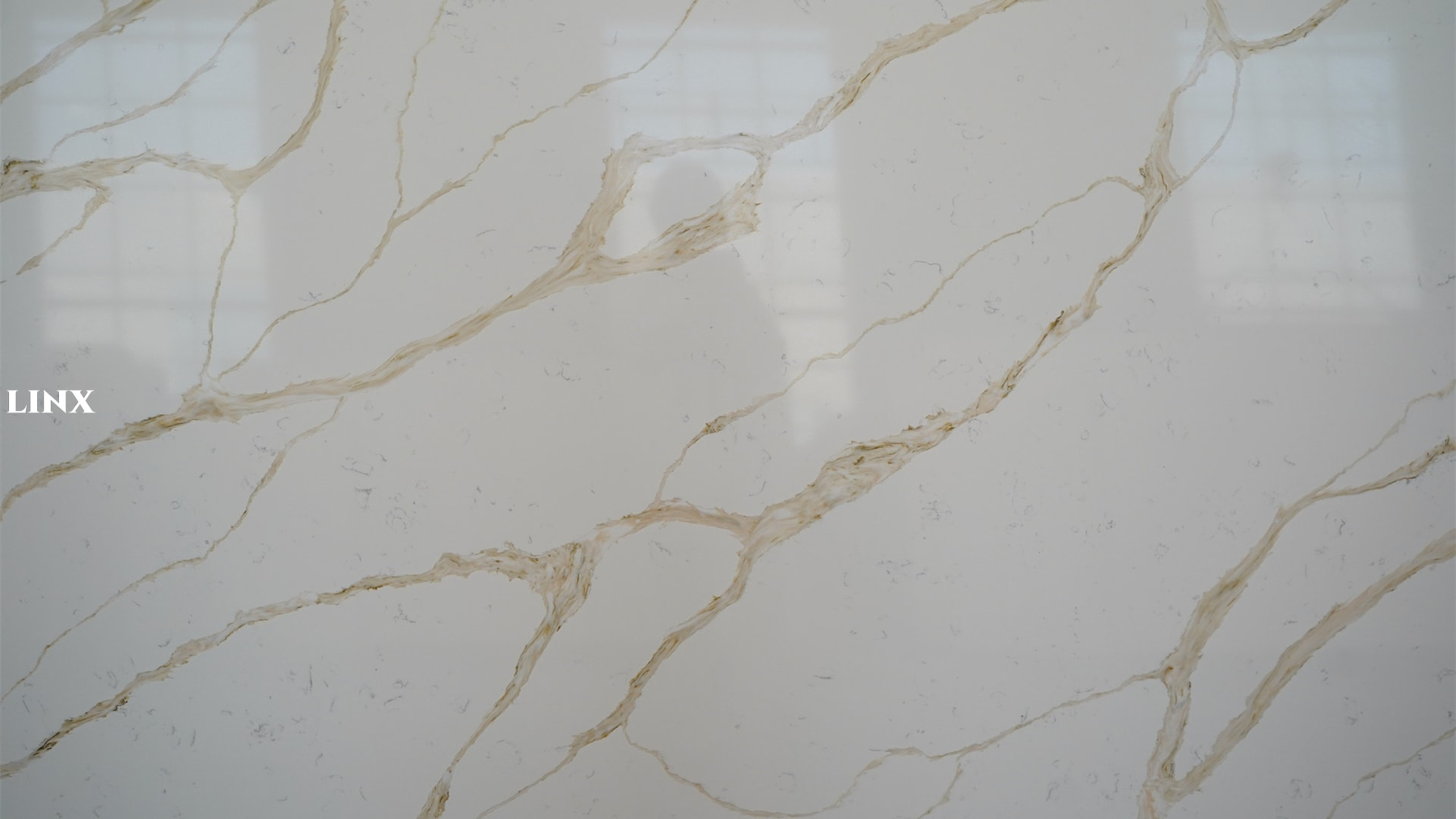 LX8165 CALCATTA GOLD QUARTZ STONE CLOSE UP 1 LINX SURFACES