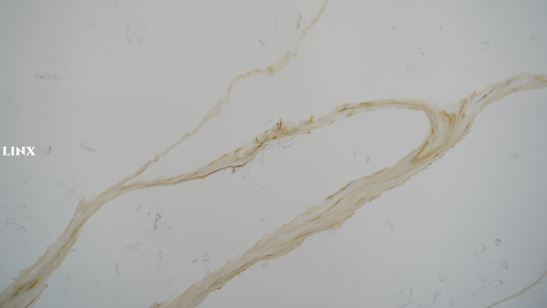 LX8165 CALCATTA GOLD QUARTZ STONE CLOSE UP 4 LINX SURFACES