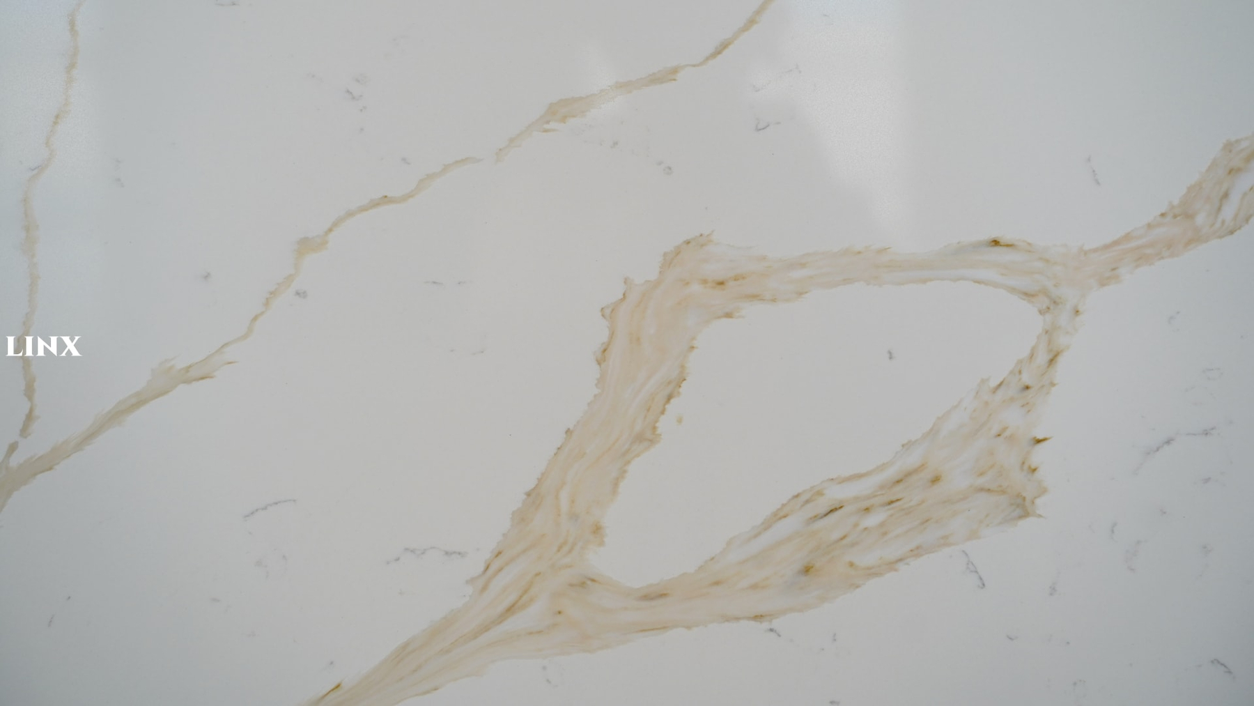 LX8165 CALCATTA GOLD QUARTZ STONE CLOSE UP 5 LINX SURFACES