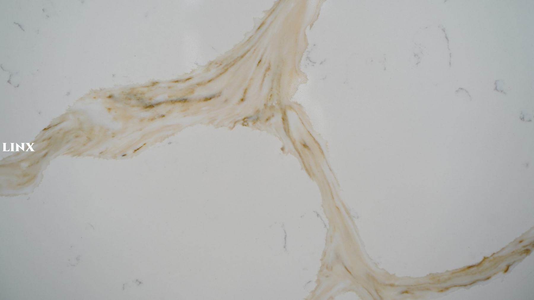 LX8165 CALCATTA GOLD QUARTZ STONE CLOSE UP 6 LINX SURFACES