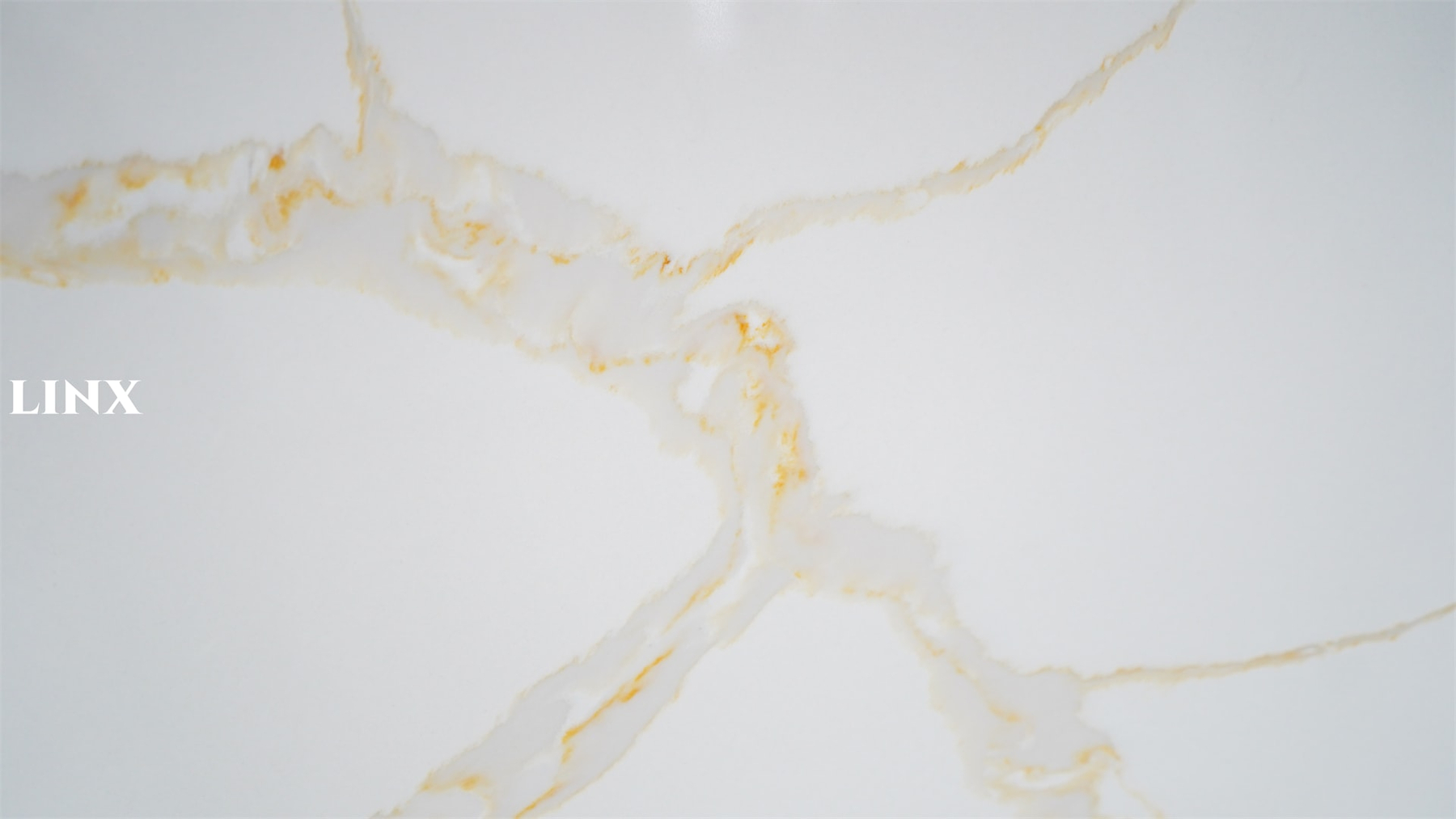 LX9001 CALACATTA GOLD CLOSE UP 1 QUARTZ STONE LINX SURFACES