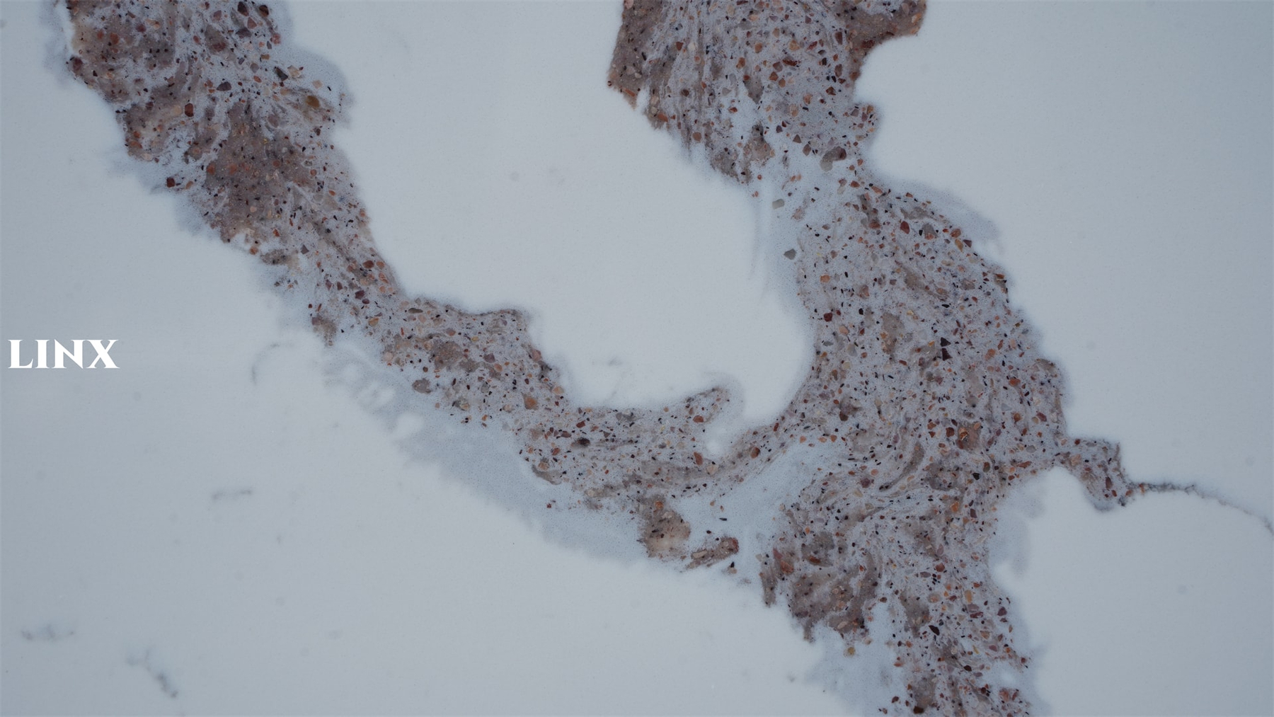 LX9020 CALACATTA QUARTZ STONE CLOSE UP 4 LINX SURFACES