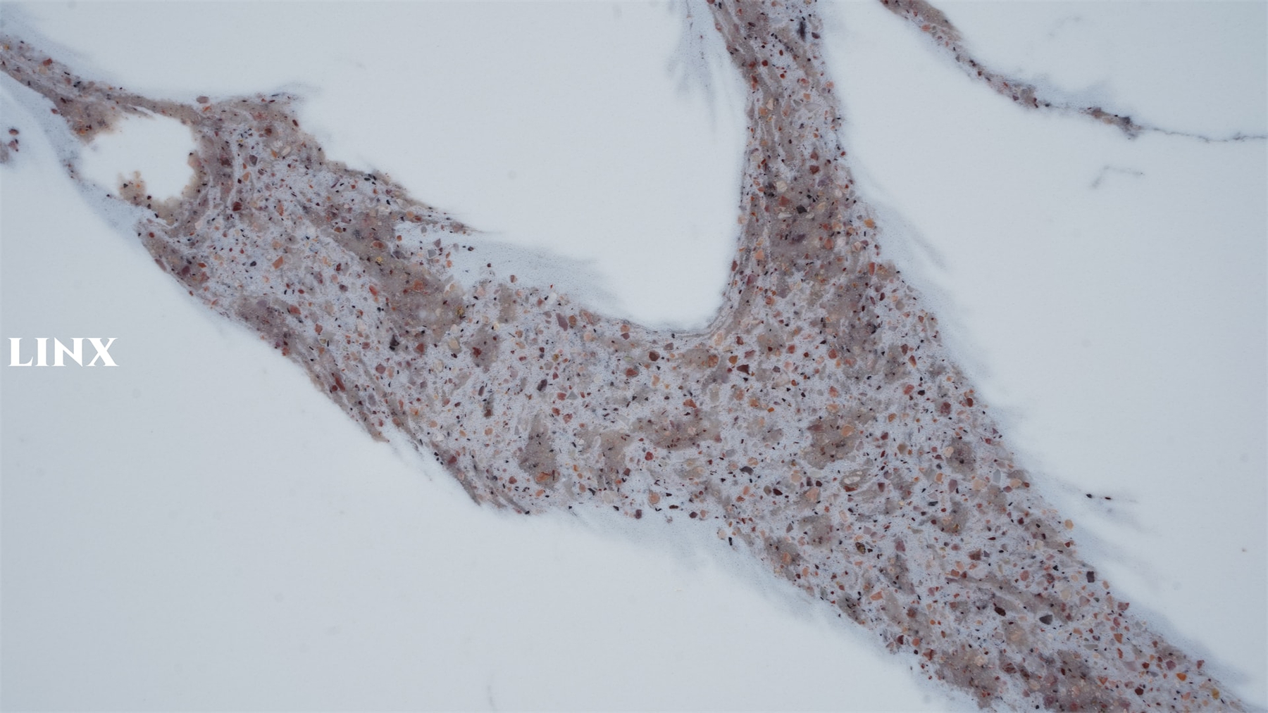 LX9020 CALACATTA QUARTZ STONE CLOSE UP 5 LINX SURFACES