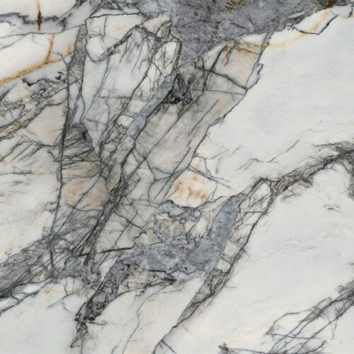 LXA309 PARADISE BIRD SINTERED STONE LINX SURFACES