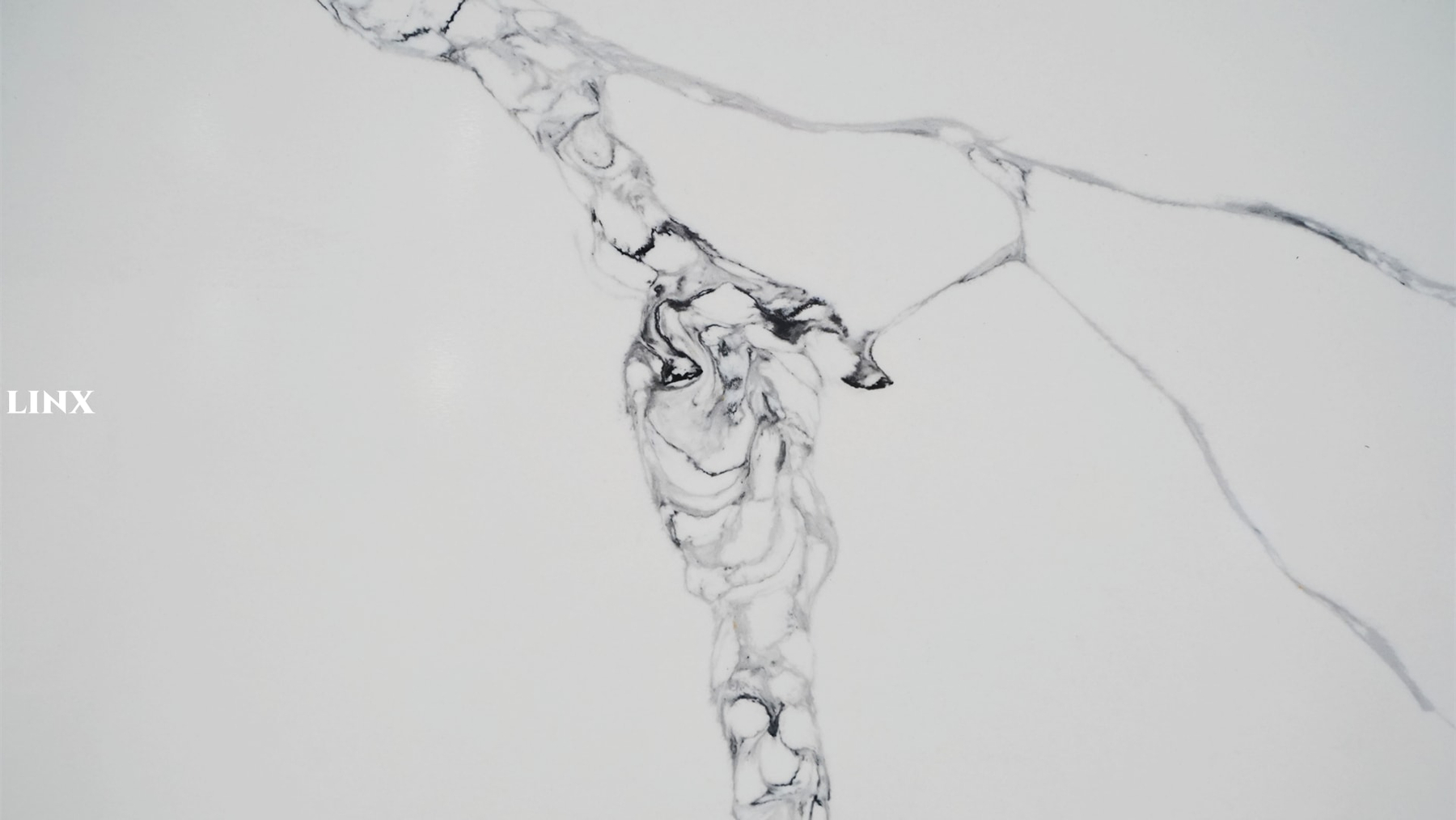 LX1126 CALACATTA WHITE QUARTZ STONE CLOSE UP 3 LINX SURFACES