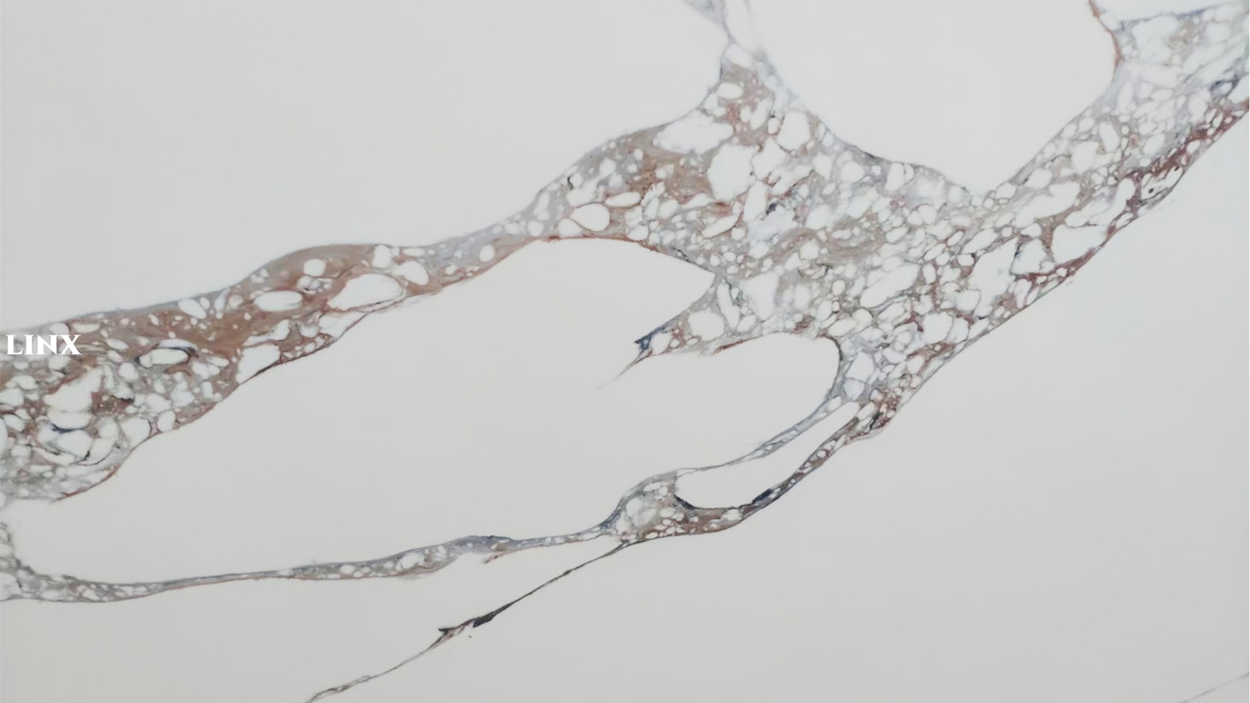 LX1127 CALACATTA WHITE QUARTZ STONE CLOSE UP 2 LINX SURFACES