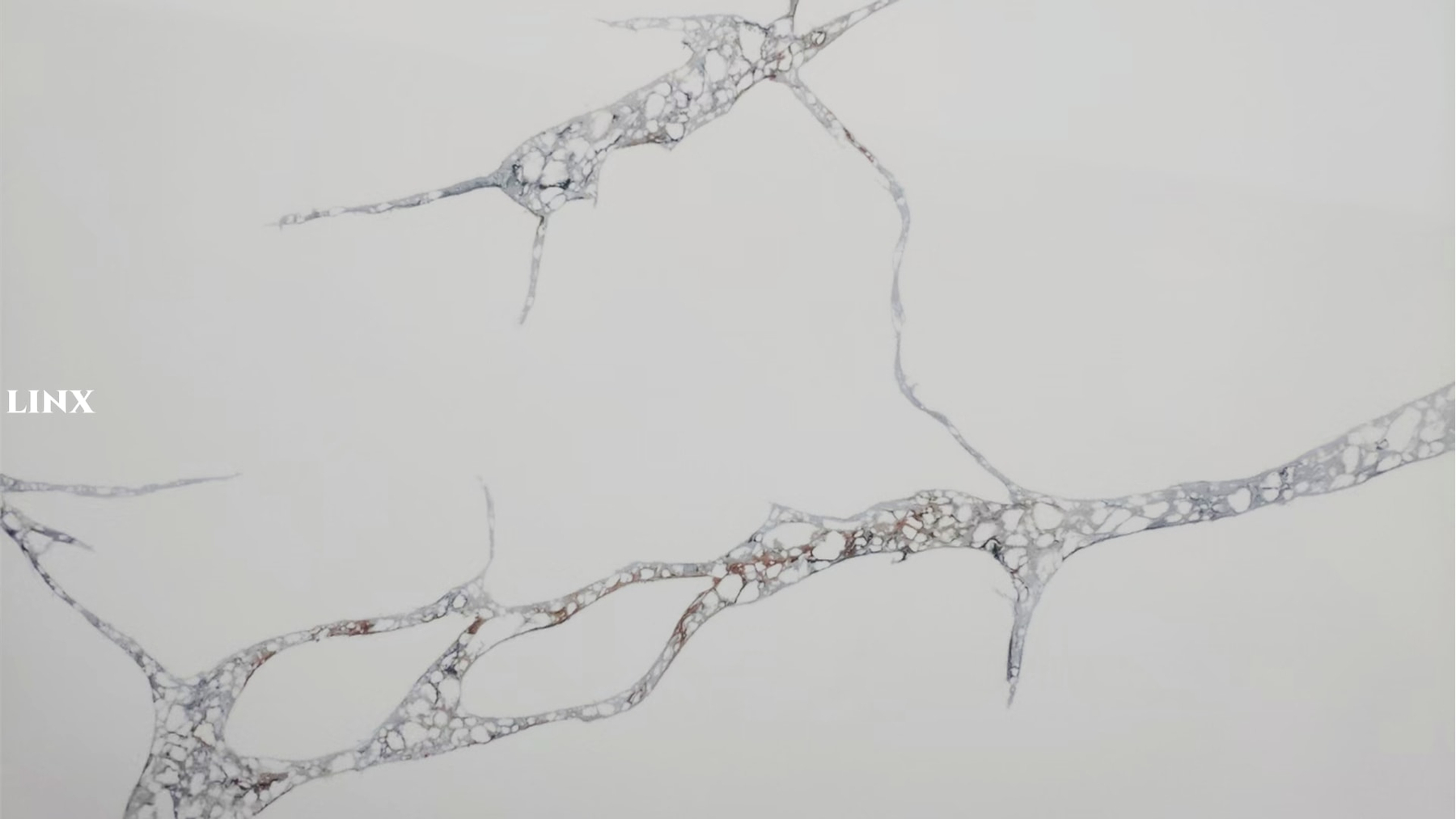 LX1127 CALACATTA WHITE QUARTZ STONE CLOSE UP 4 LINX SURFACES