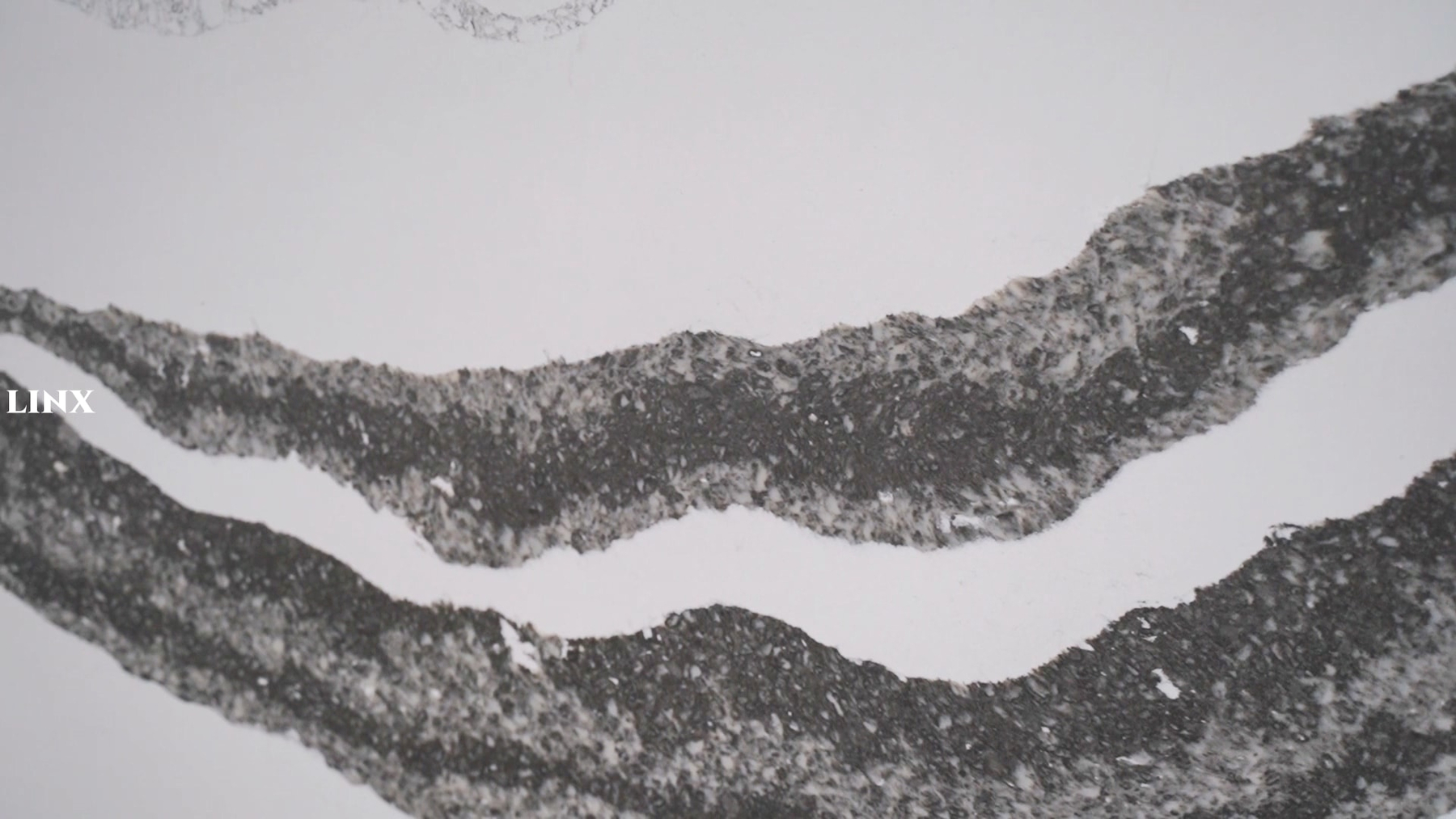 LX1699 CALACATTA WHITE QUARTZ STONE DETAIL 2 LINX SURFACES