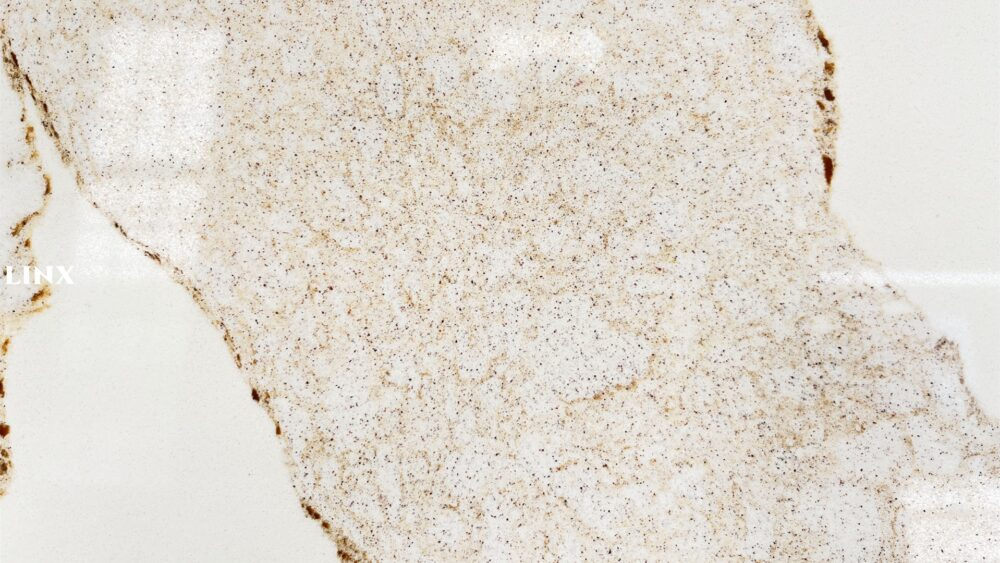 LX6684 CALACATTA GOLD QUARTZ STONE - LINX SURFACES
