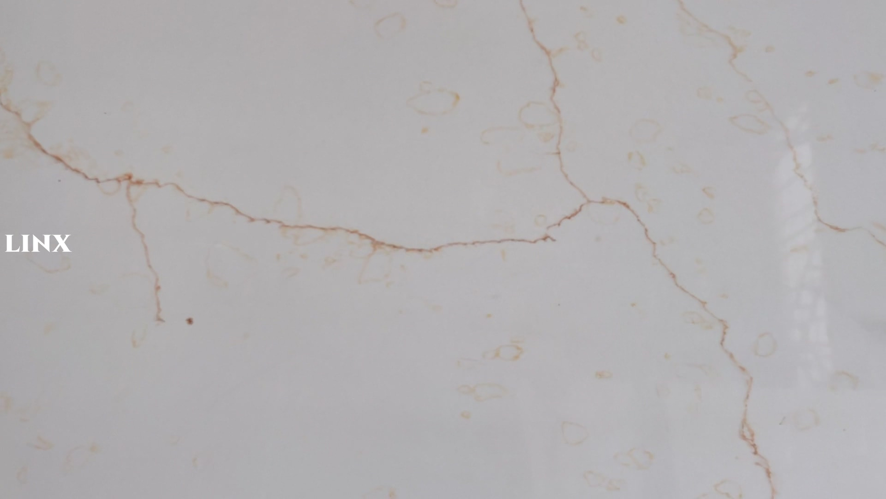 LX6701 CALACATTA GOLD QUARTZ STONE DETAIL 2 LINX SURFACES