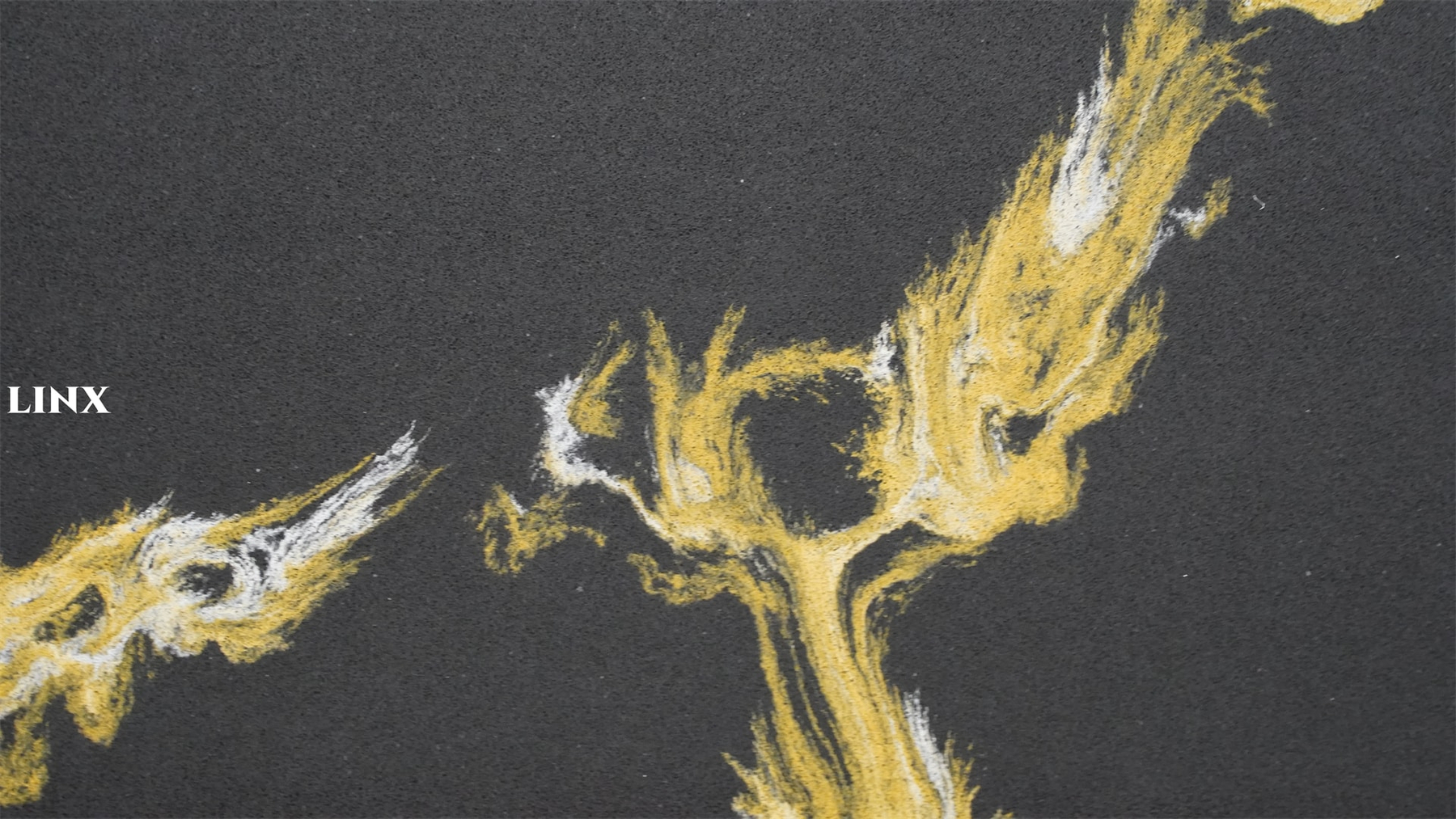 LX6719 CALACATTA BLACK QUARTZ STONE CLOSE UP 5 LINX SURFACES