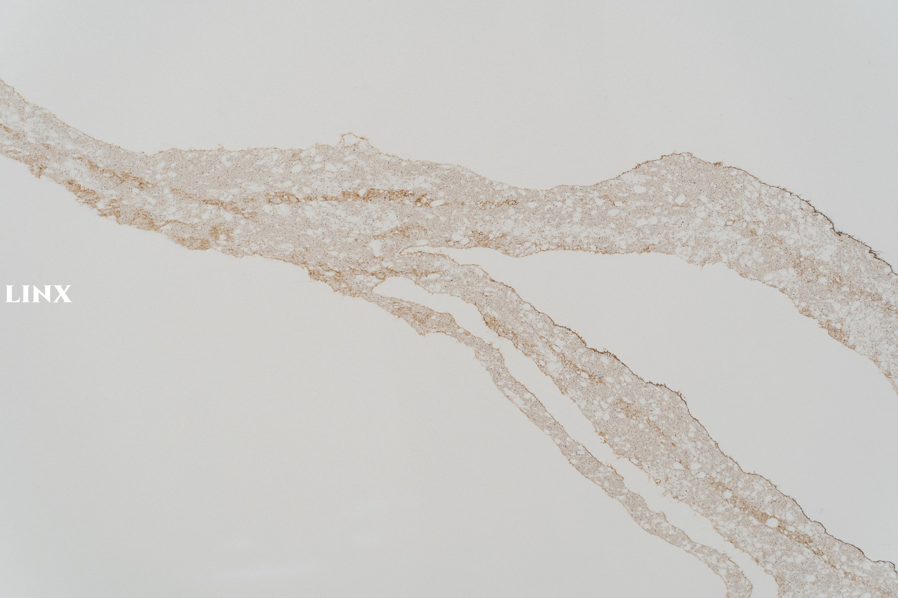 LX7289 CALACATTA GOLD QUARTZ STONE DETAIL 2 LINX SURFACES