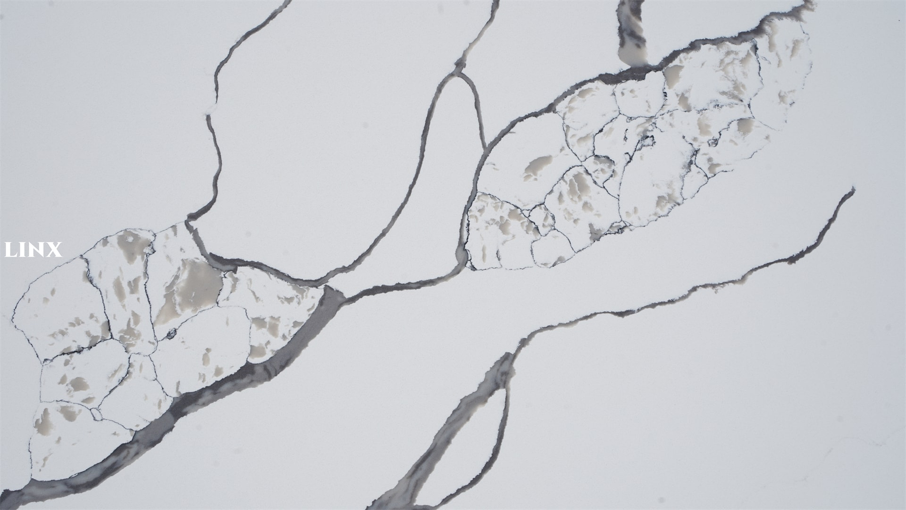 Super Popular Quartz Calacatta Pattern LX1009 Close Up 4 Linx Surfaces