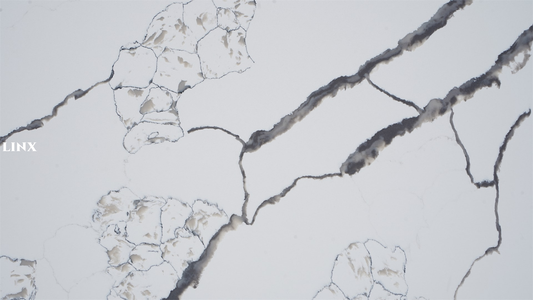 Super Popular Quartz Calacatta Pattern LX1009 Close Up 5 Linx Surfaces