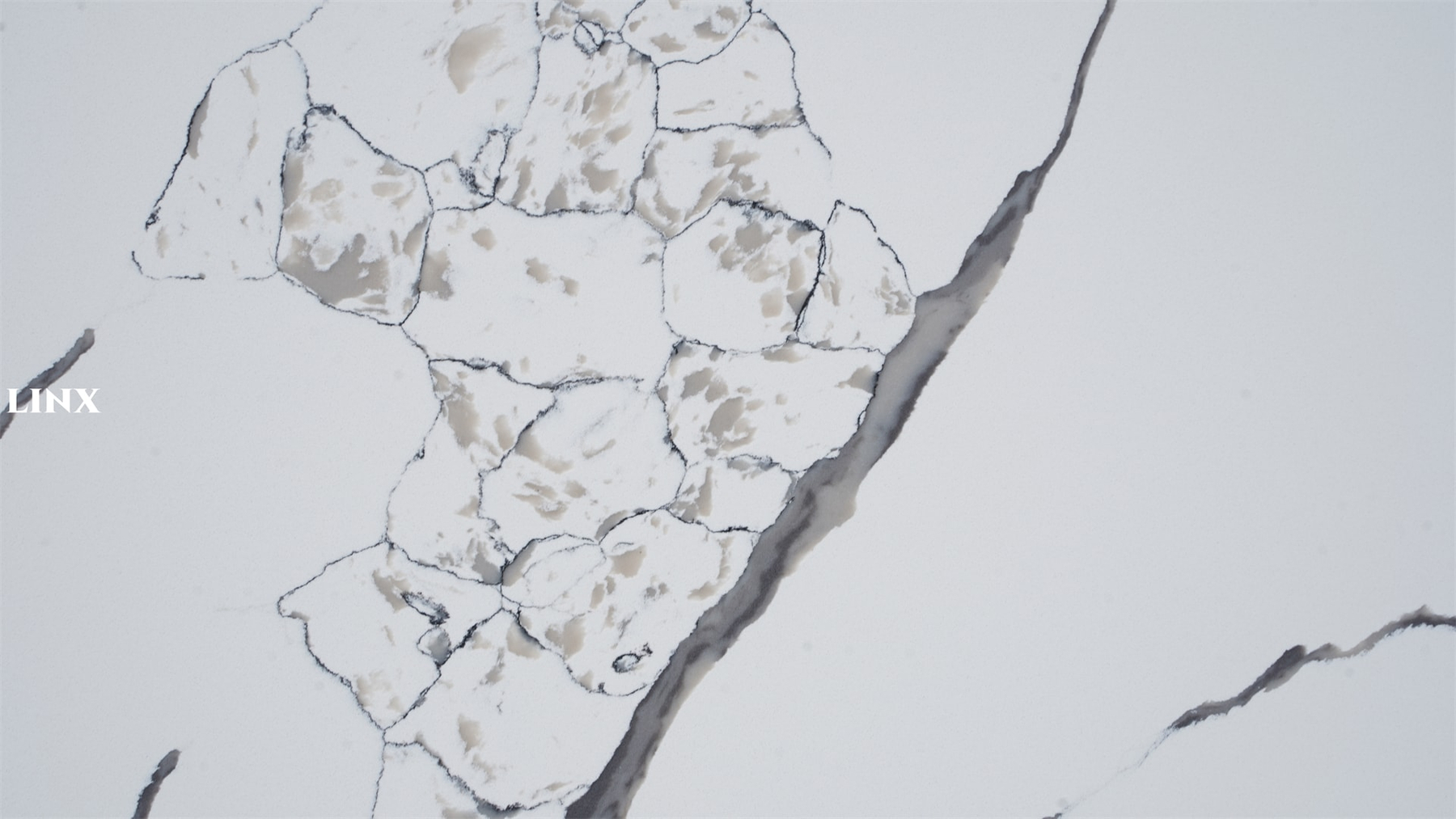 Super Popular Quartz Calacatta Pattern LX1009 Close Up 6 Linx Surfaces