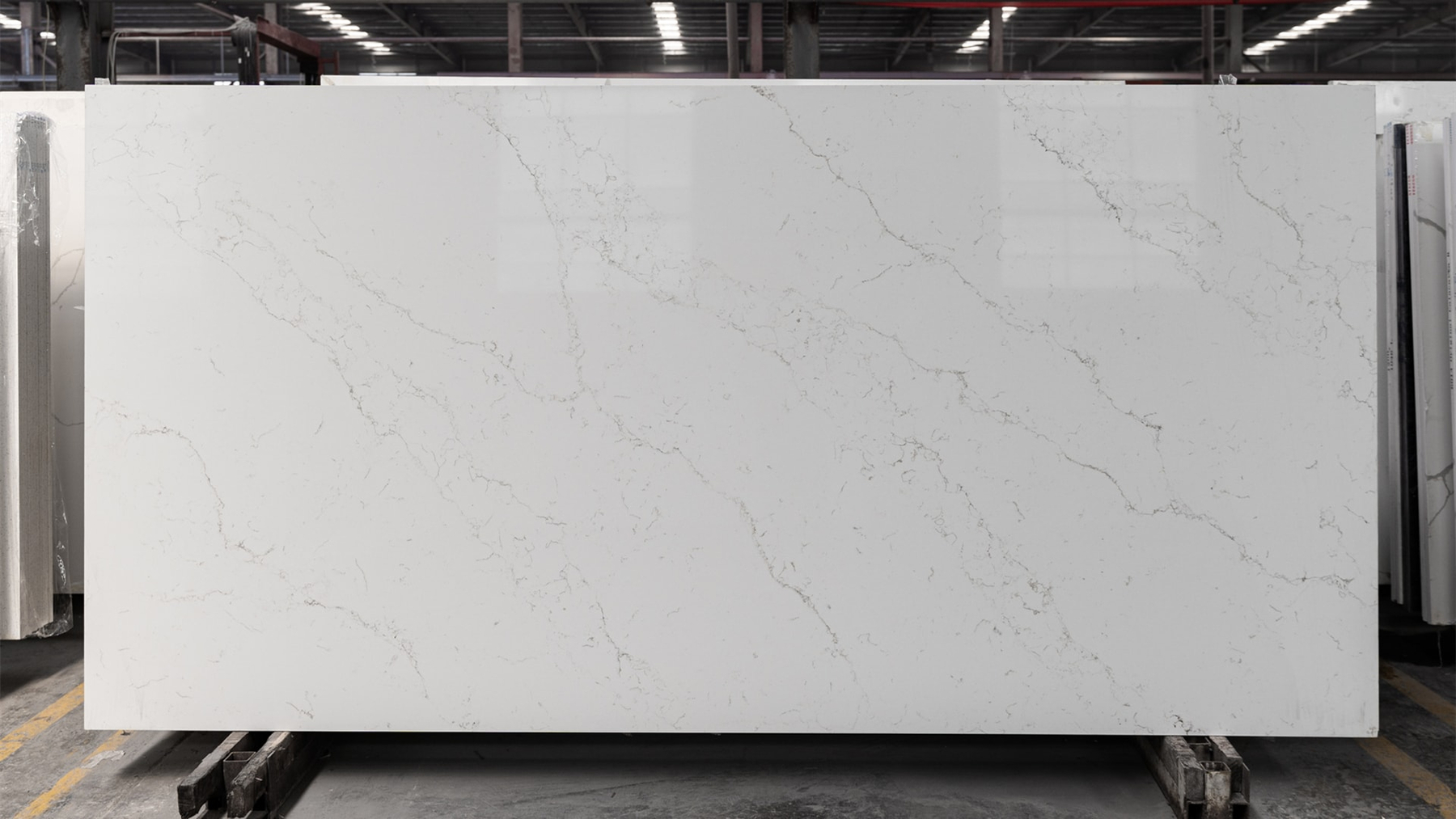 Carrara Calaclsccis (1)