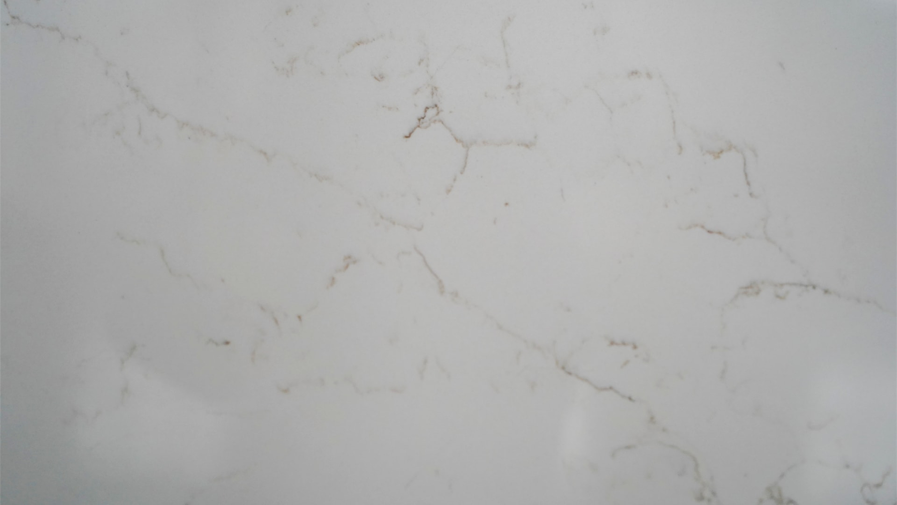 Carrara Calaclsccis (6)