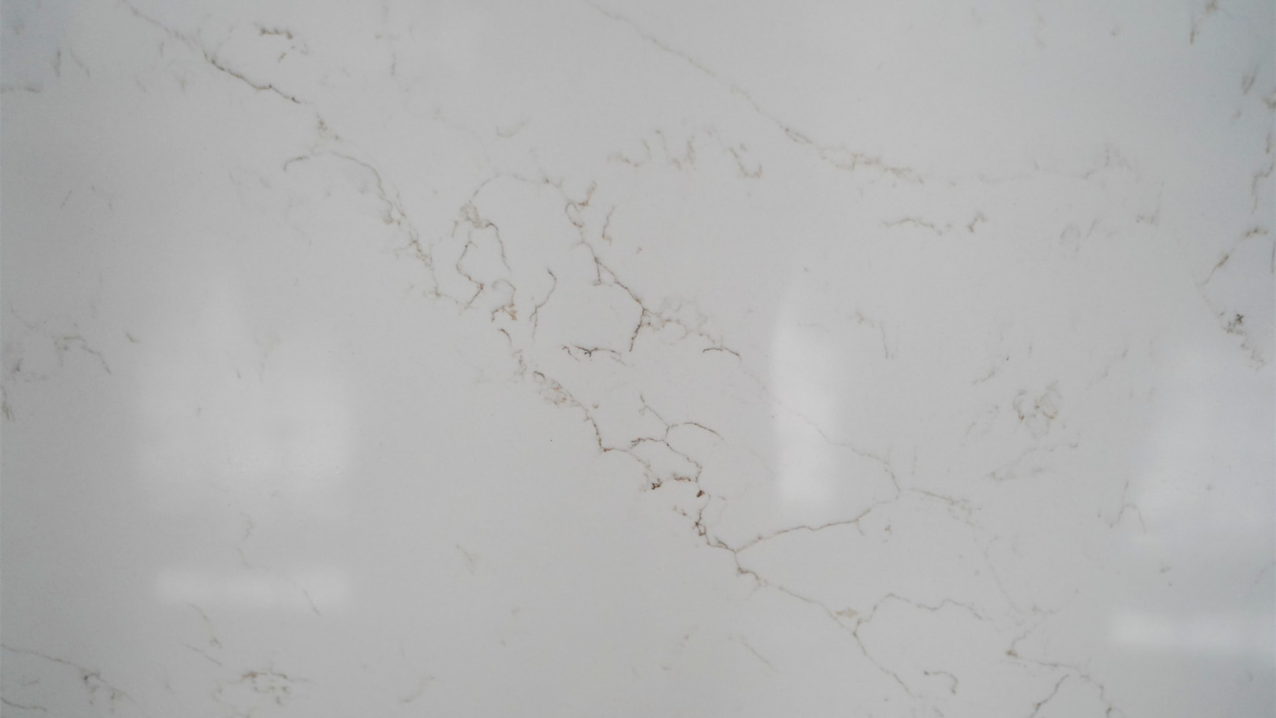 Carrara Calaclsccis (7)