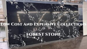 FOREST STONE Feature