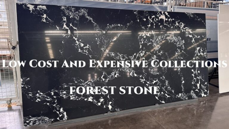 FOREST STONE Feature