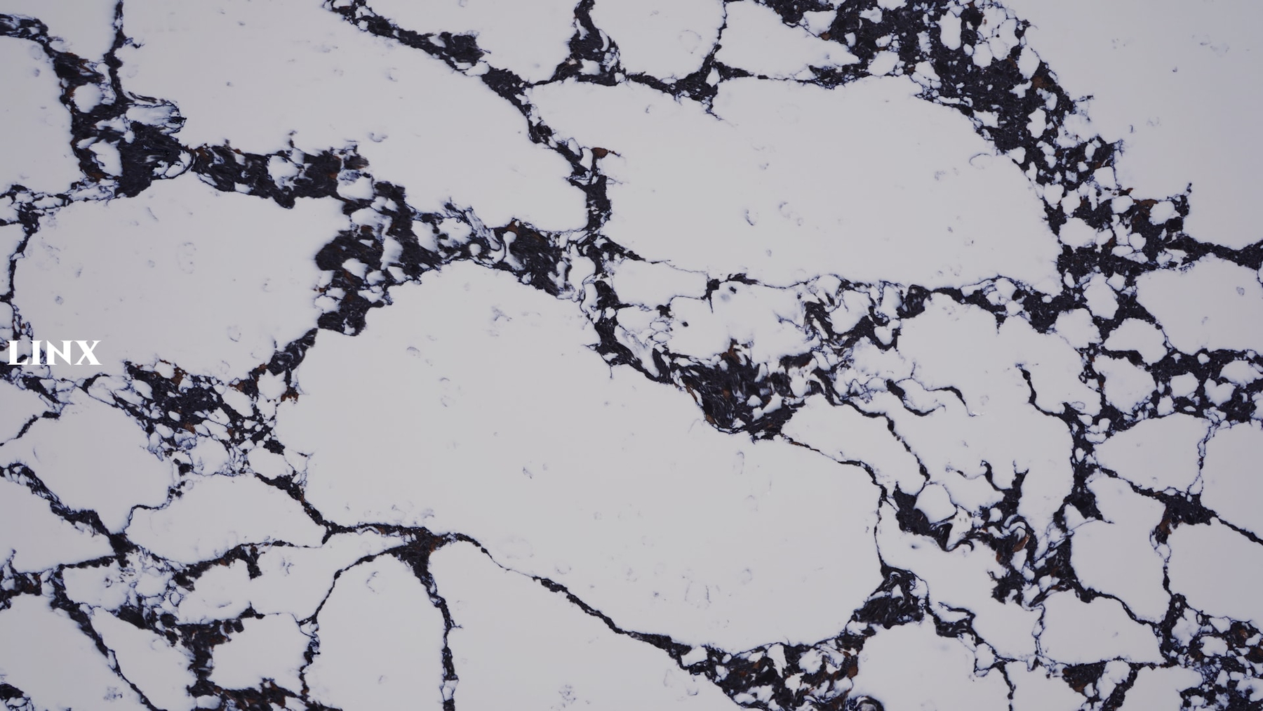 LXM9065 STRUGGLE SOUL JADE STONE DETAIL 1 LINX SURFACES