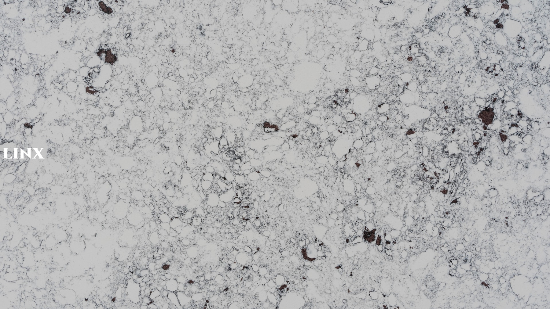 LXM9146 WHITE BREEZE JADE STONE DETAIL 1 LINX SURFACES