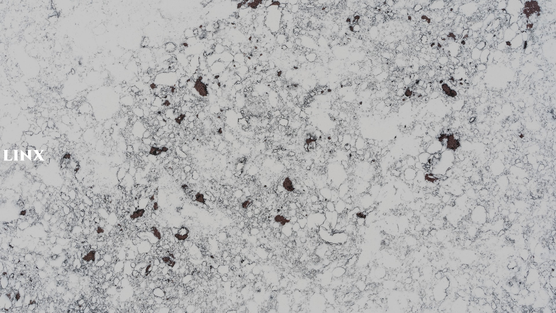 LXM9146 WHITE BREEZE JADE STONE DETAIL 2 LINX SURFACES